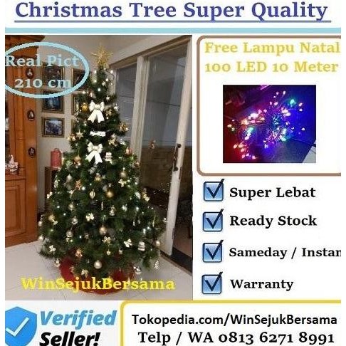 BEBAS ONGKIR - Pohon Natal 20 cm / Pohon Natal 2. m / Pohon Natal 7 feet / 7 ft