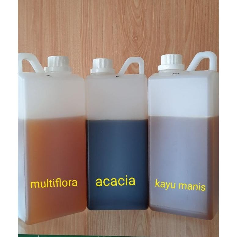 

(Terbaru) Madu hutan asli Riau 1kg dari lebah liar jenis apis dorsata nektar akasia, multiflora dan kayu manis (Terlaris)