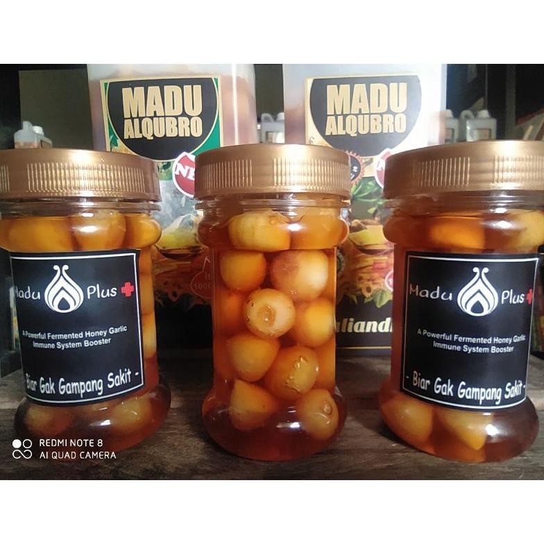 

(Terbaru) Madu , kombinasi Rendaman Bawang Putih Tunggal dalam Rendaman Madu Asli (Terlaris)