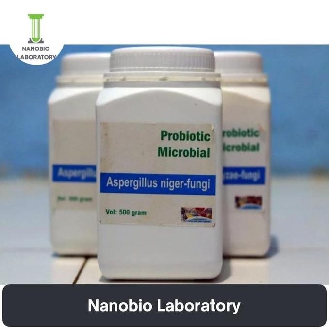 

Jamur Aspergillus Niger (Fermentasi Asam Sitrat) | Pembuatan Sale, Aga Kualitas Terbaik Harga Termurah