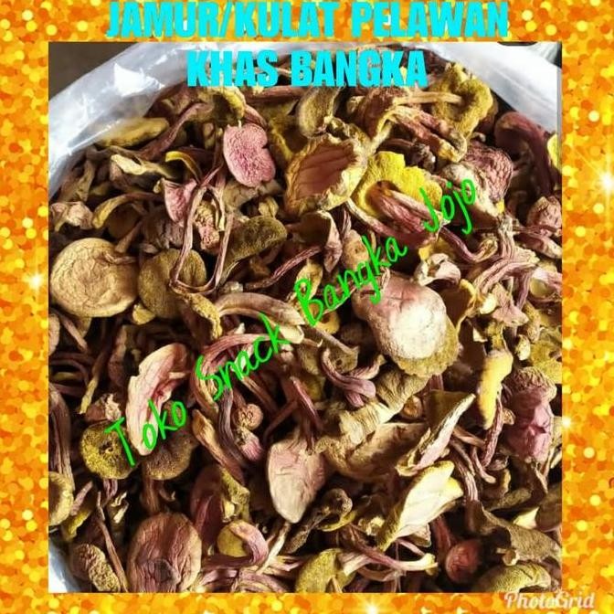 

Jamur Pelawan Kulat Langka Namang Khas Bangka Premium Super 50Gram Kualitas Terbaik Harga Termurah