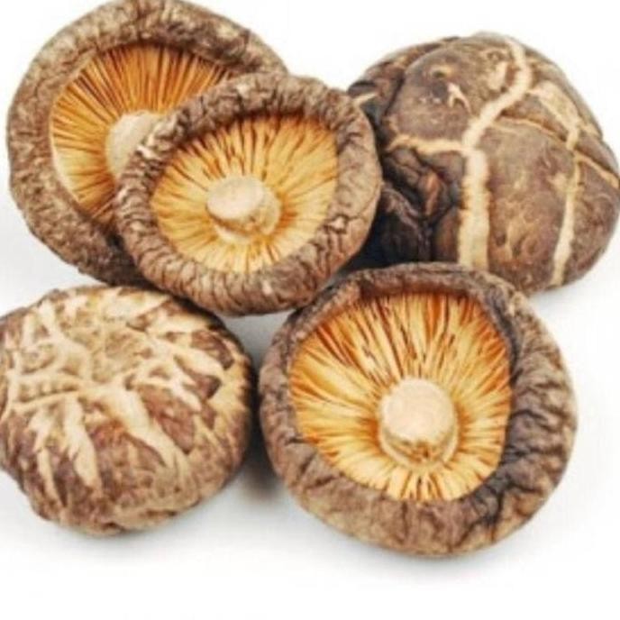 

Jamur Shitake/Hioko Kering 250Gr Kualitas Terbaik Harga Termurah