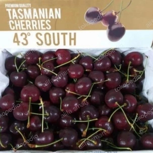 Buah Cherry Tasmania 1 Pa