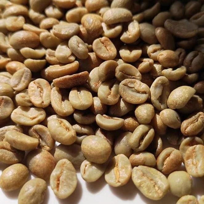 Terbaru Colombia La Palma Y El Tucan Latic Fermentation Green Beans Ready