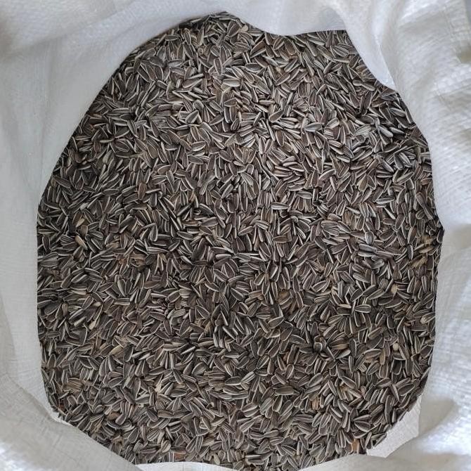 

(Allthebest) Kuaci Biji Bunga Matahari 1 kg Pakan Burung Hamster Kwaci Super