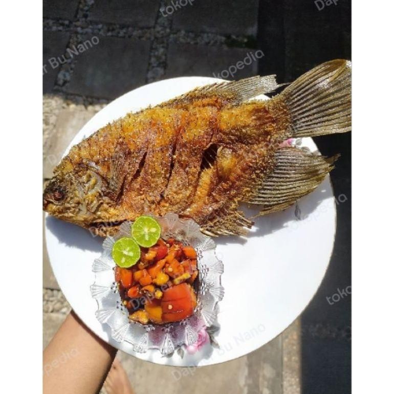 

Ikan Gurame Goreng Isi 3 Ekor Siap Makan Free Sambal Kecap. Terbaru