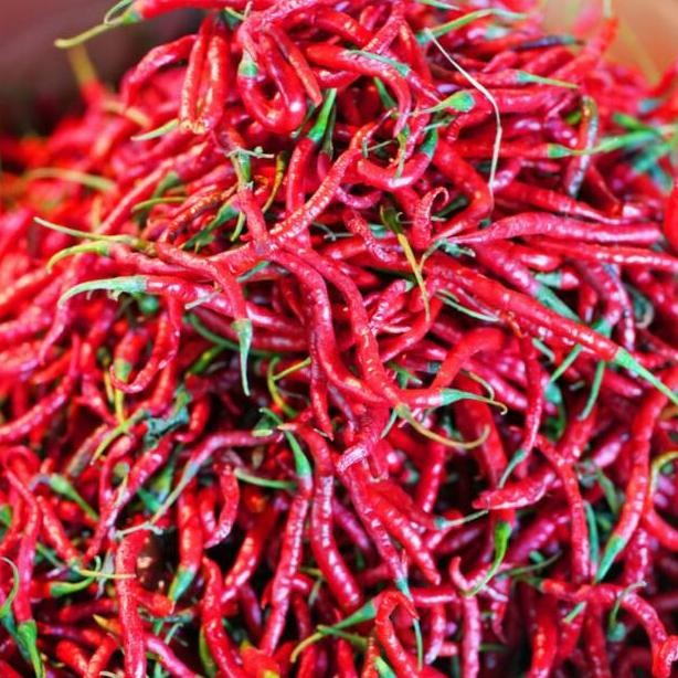 

New - Cabe / Cabai Merah Keriting 500 gr ,.