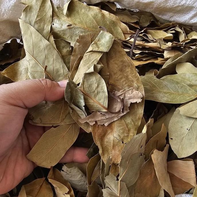 

Daun Alpukat Kering 100 gram / 500 gram