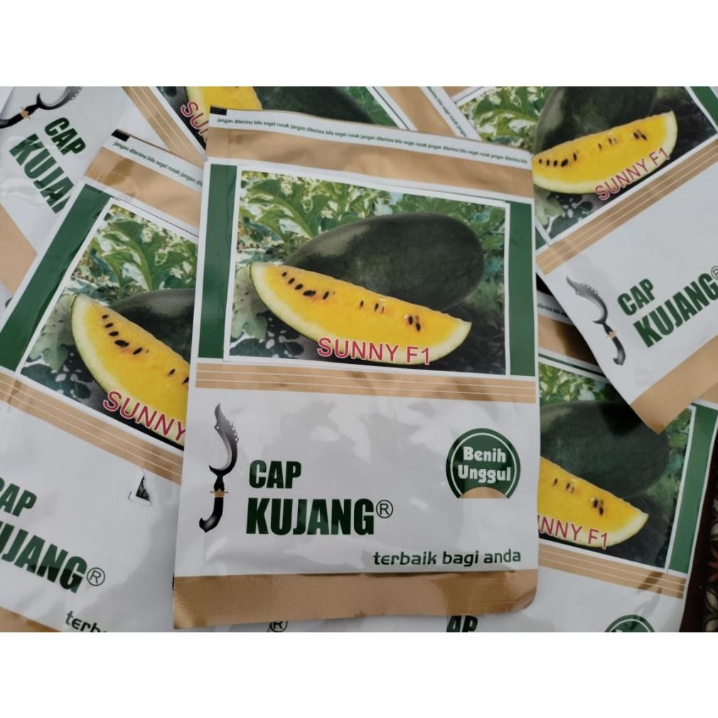 Obral Benih semangka inul kuning isi kurleb 500 biji Sunny F1 Cap Kujang