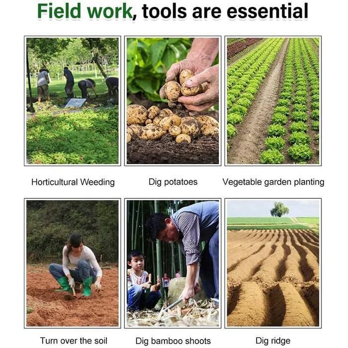 GFT Alat Pencabut Rumput Liar Digunakan Di Rumah Pencabut Rumput Paving