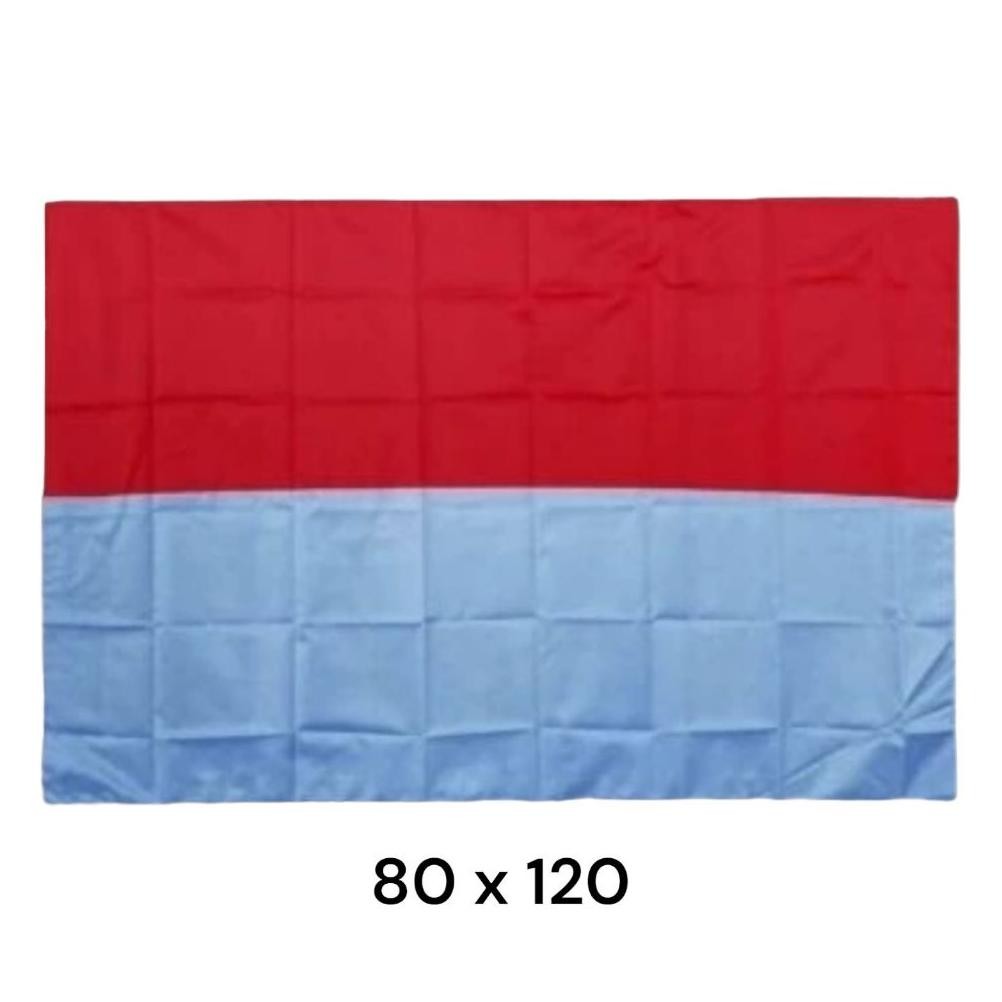 Er-79 Bendera Palestina Dan Bendera Indonesia / Bendera Palestina