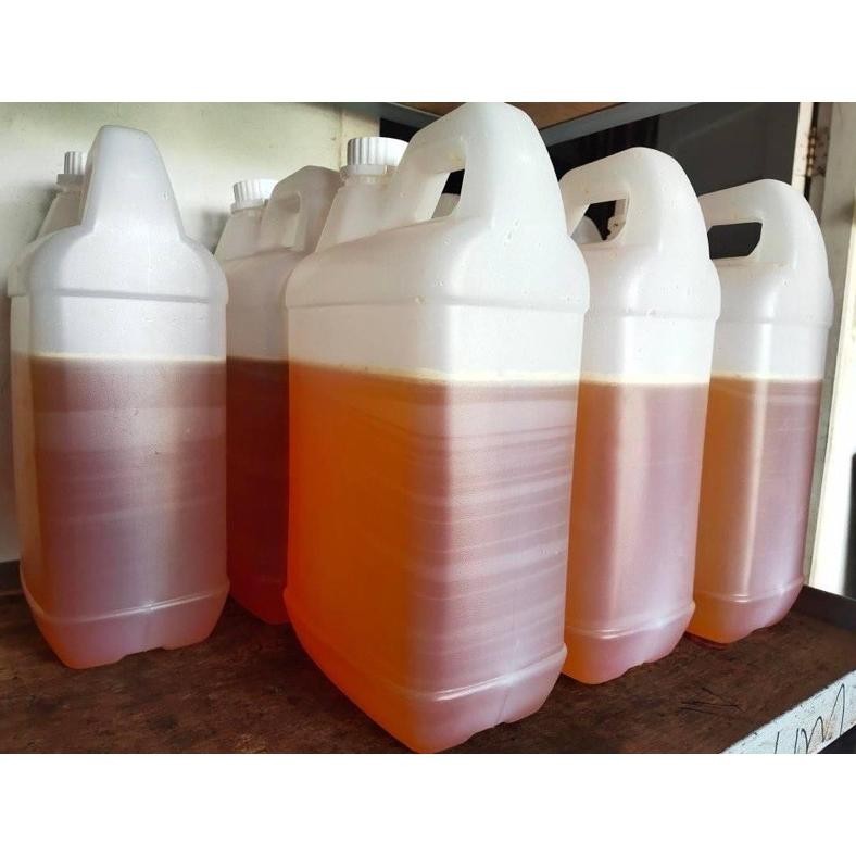 

(Terbaru) Madu muliflora 5 kg (Terlaris)