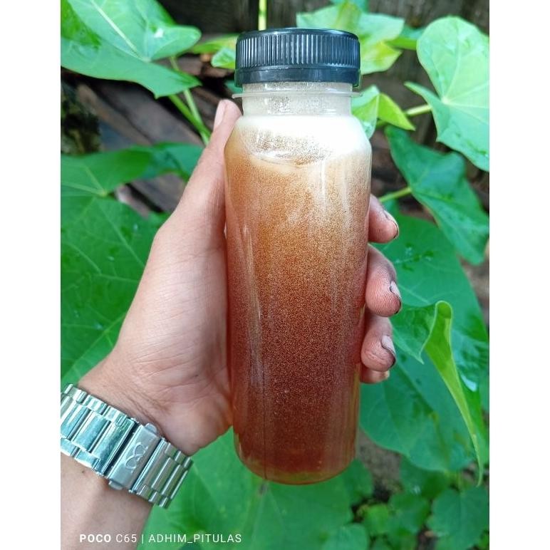 

(Terbaru) Madu Liar/Madu Murni/Madu Asli (Terlaris)