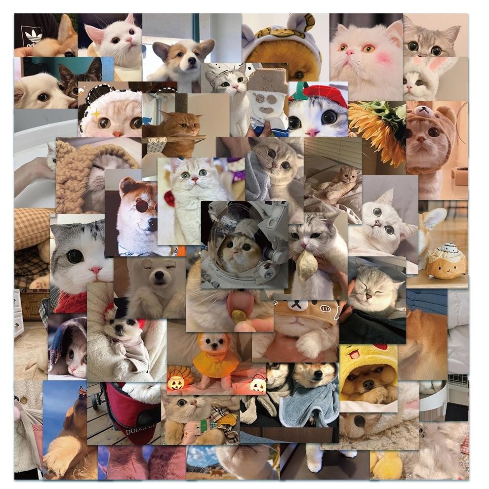

COD [48PCS]Stiker Pack Lucu Anak Kucing Emotikon Stiker Vinyl Anti Air-Sticker Aesthetic Buku Casing HP Laptop Helm Motor KCW-05