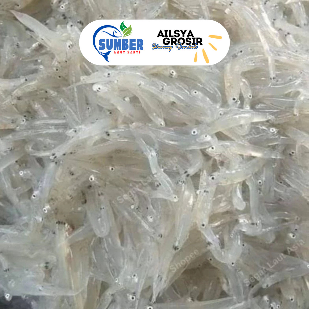 

TERI NASI BASAH SEGAR 250 GRAM/ MP ASI