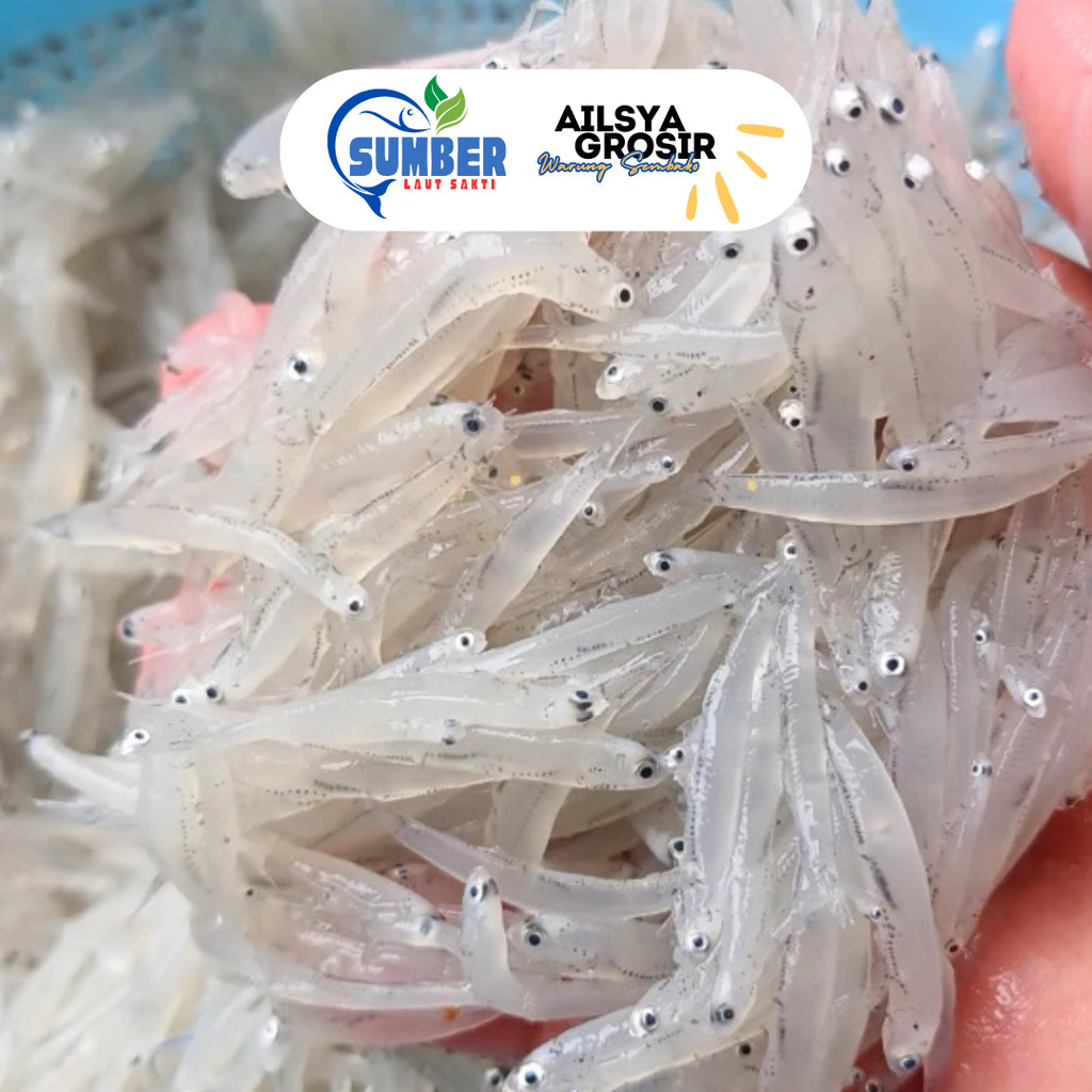 

TERI NASI BASAH SEGAR FROZEN 500 GRAM