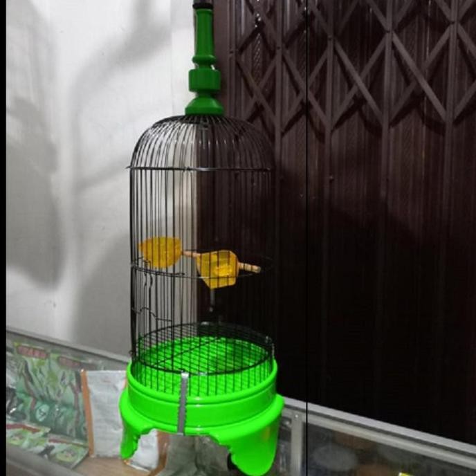 TERLARIS - Sangkar Pleci Helopet / Kandang besi pleci & ram pleci