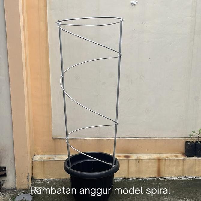 TERMURAH - Tiang rambatan tanaman anggur