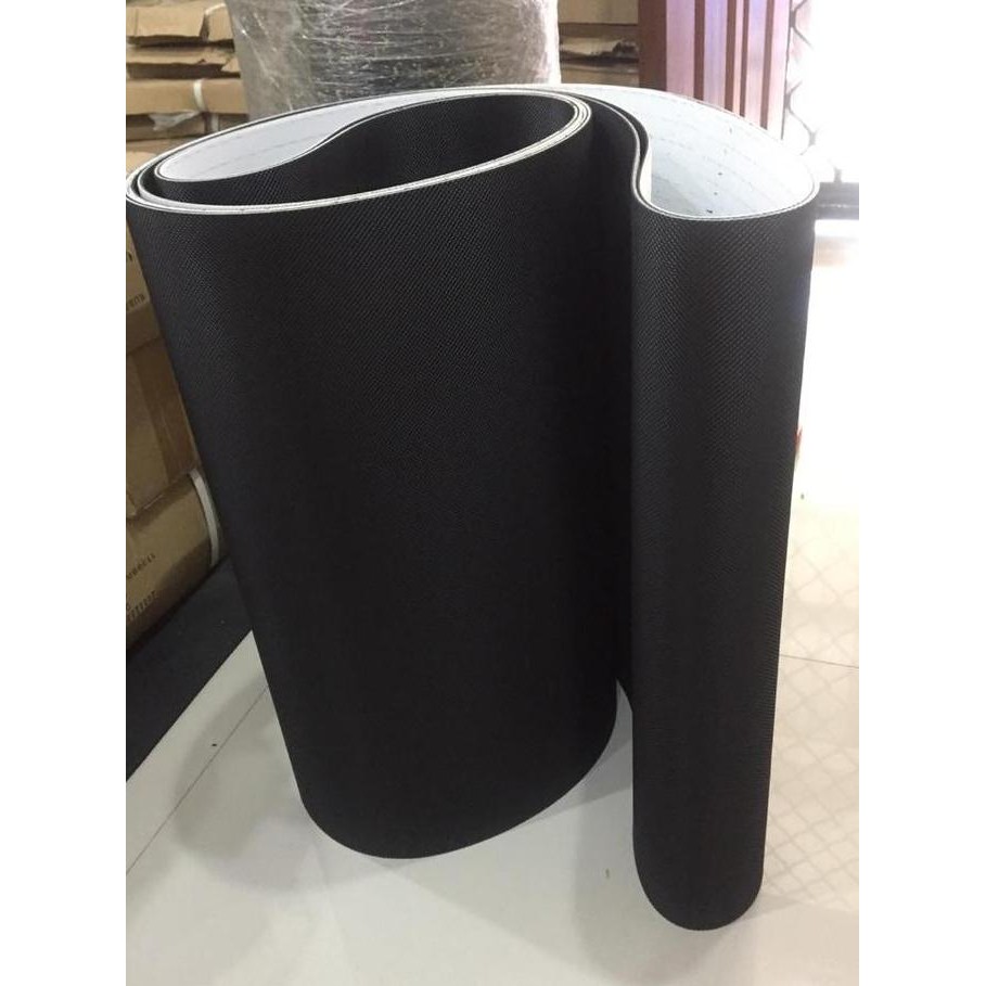 New Running Belt Treadmill Richter Pegasus