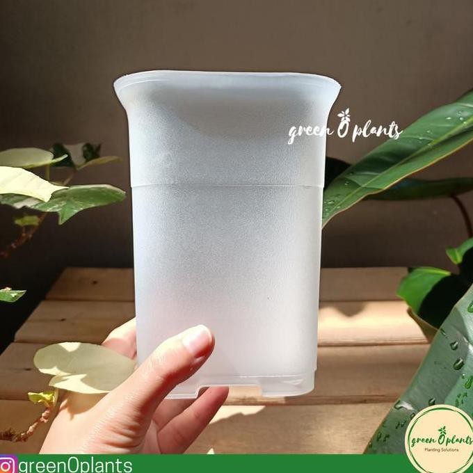 Grosir Pot Nkt Kotak 12 Bening Lusinan