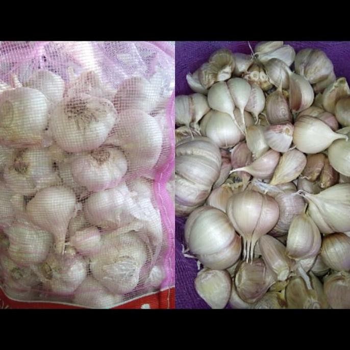 

JH8 Bawang Putih Kating Kotor 1 kg