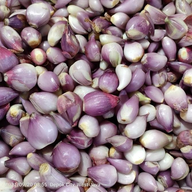 

JH8 Bawang Merah Kupas | Bawang Kupas