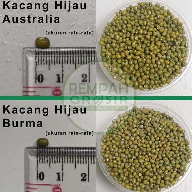 

JH8 Kacang Hijau Ijo Burma Super Premium 1KG | 1 kg Kilo Grosir Termurah