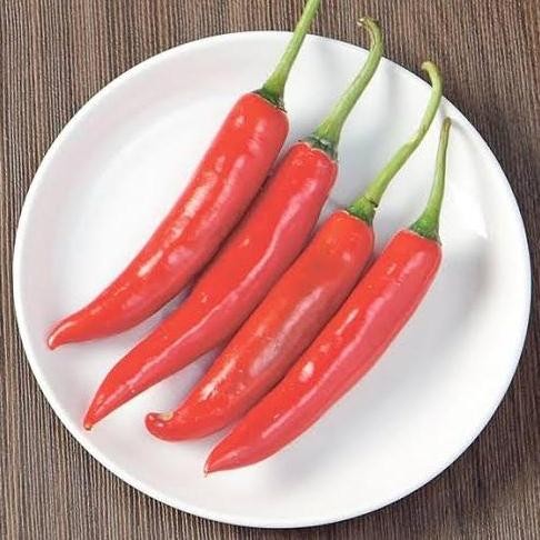 

JH8 cabai merah besar 500