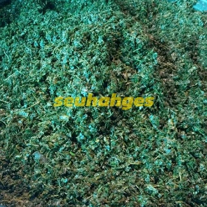 

JH8 Daun Jeruk Purut Siap Tabur 250g