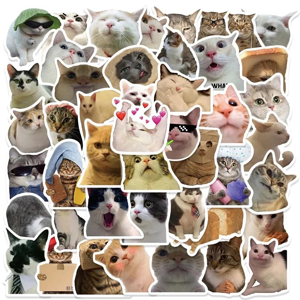 

50Pcs Cute Meme Animal Cat Kitty Stickers Skateboard Guitar Suitcase Freezer Motorcycle Classic Toy Decal Funny Sticker