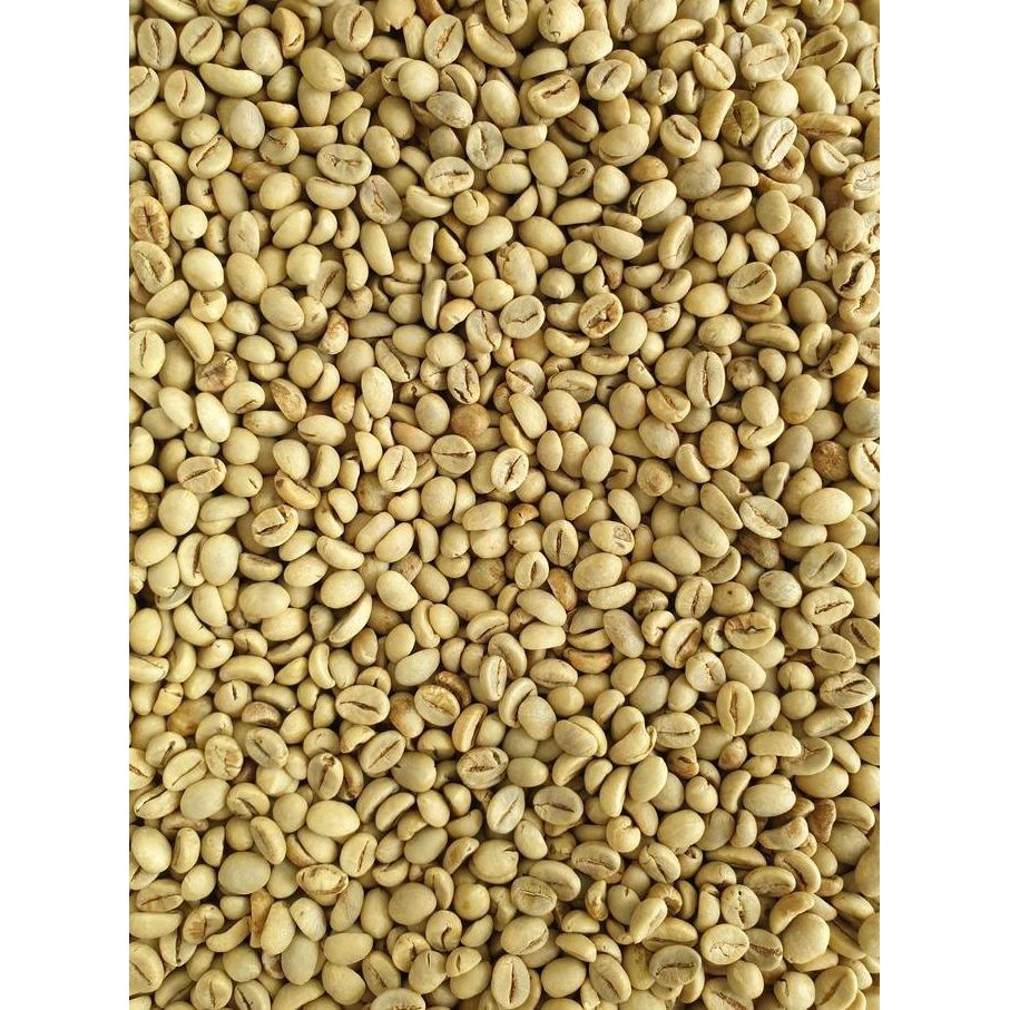 

JH8 Biji Kopi Robusta Poles/Selep (After Polish) WBS (Grade 1 Biji Sedang)
