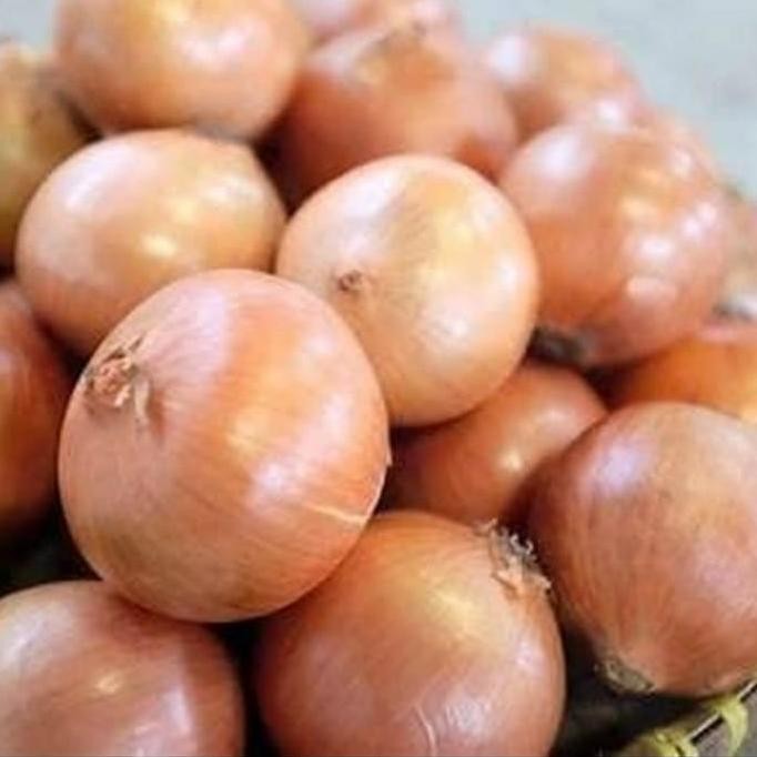 

] Bawang Bombay besar 1 kg