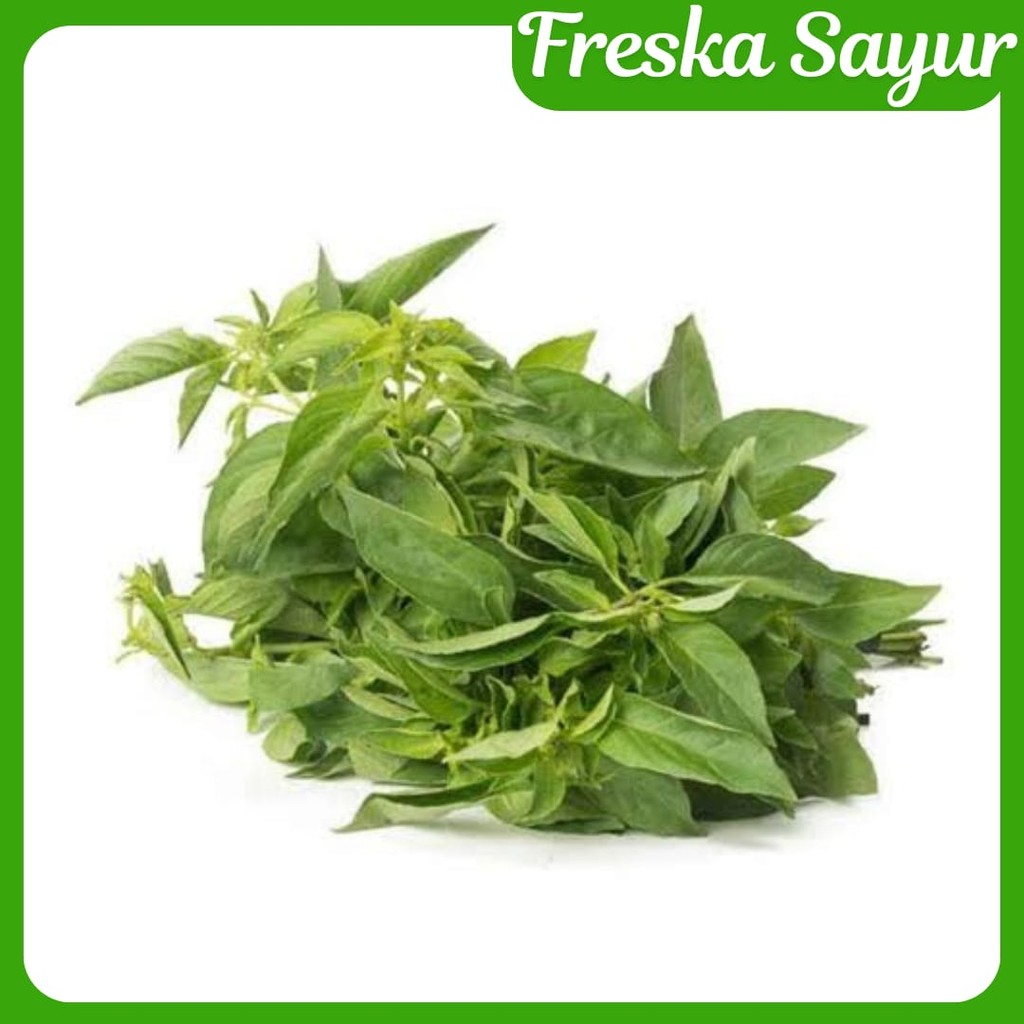 

Daun Kemangi 1 Pack I Cocok Untuk Lalap