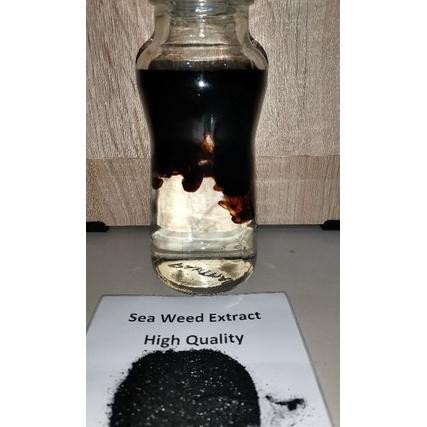 Seaweed Extract 500 Gram Pupuk Organik
