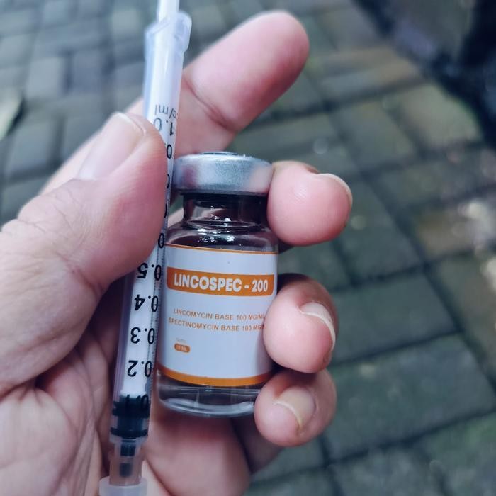 Lincospec 200 10 Ml + Spuit Injeksi Obat Ayam Sakit Obat Hewan