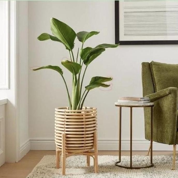 Hot Sale Standing Pot Rotan / Pot Rotan / Pot Standing Set