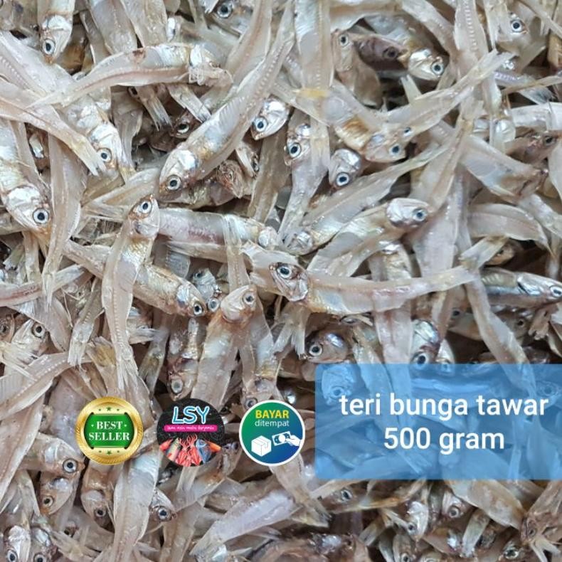 

Original Teri Tawar Bunga Super 500Gram Tanpa Rasa Asin Fh-46