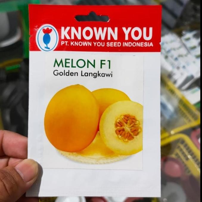 Benih Melon Golden Langkawi