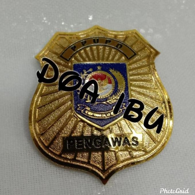 ready pin PPUPD-magnet