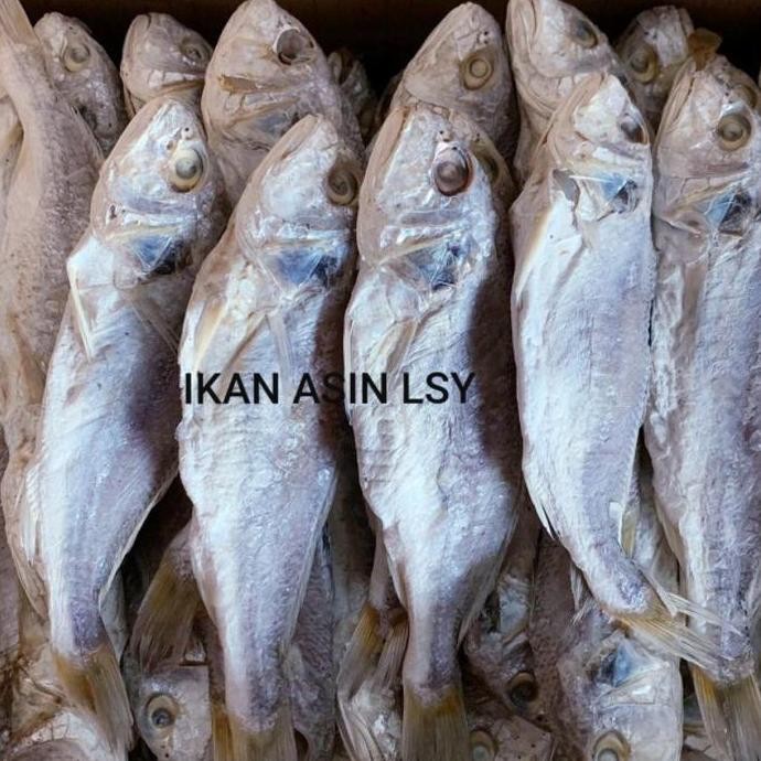 

Ikan Asin Samge / Kepala Batu 1 Kg