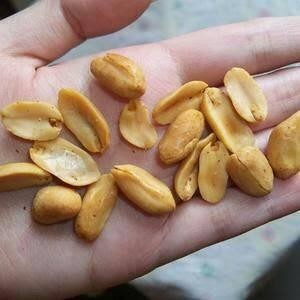 

Cri 1Kg Kacang Bawang Super Goreng