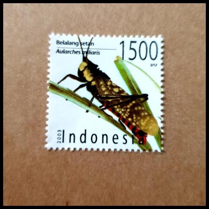 

HOT DEAL PRANGKO INDONESIA. FAUNA BELALANG SETAN ~ AULARCHES MILLIARIS !!