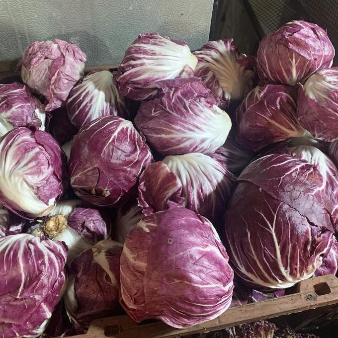 

Promo Radicchio rossa / radisio / radiccio lettuce COD