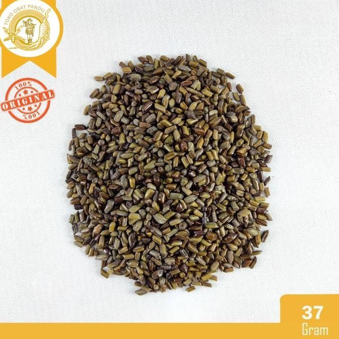 

JUE MING ZI (37 gram) / SEMEN CASSIAE TORAE