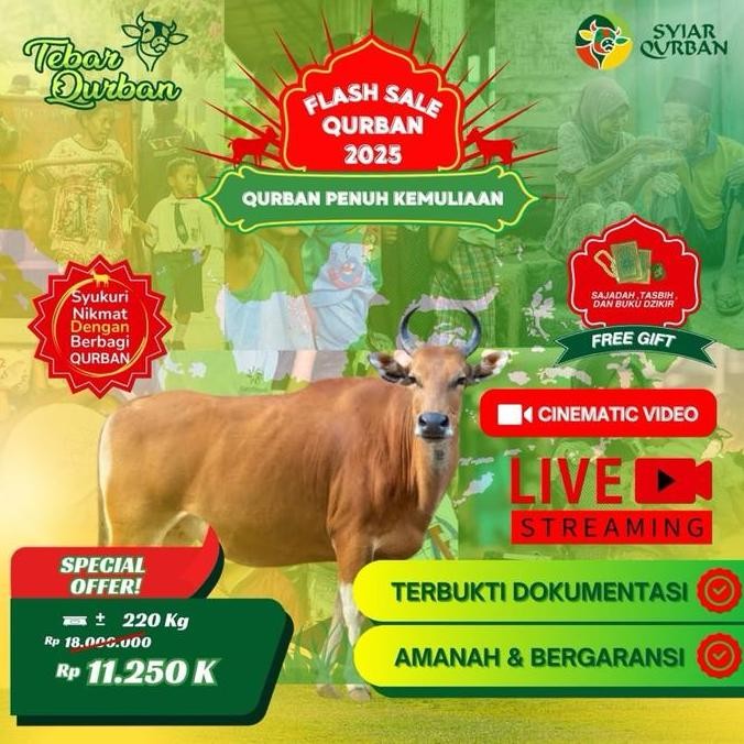 

Promo! Sapi Qurban 1 Ekor (1-7 Nama Pequrban) Full Distribusi Daging Ke Pelosok