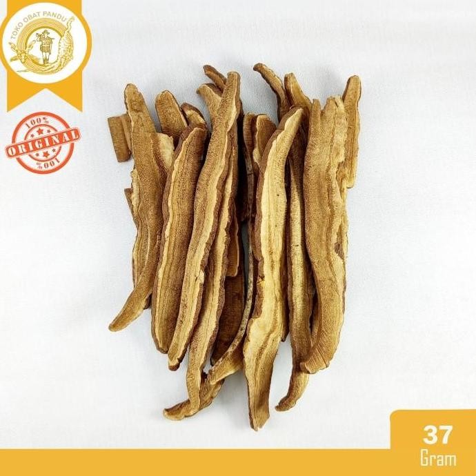 

JAMUR LINGZHI (37 gram) / JAMUR LINGCE / LING ZHI