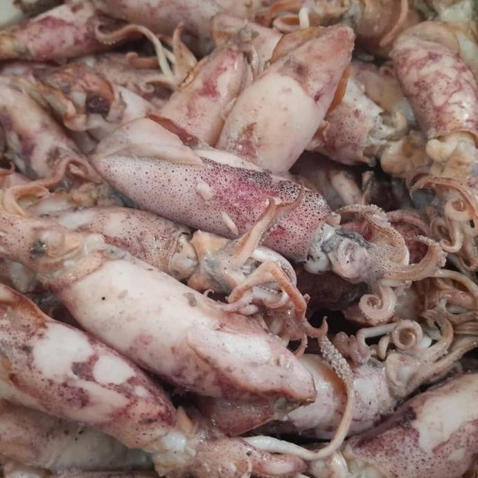 

Cumi Sotong/Ikan Asin/