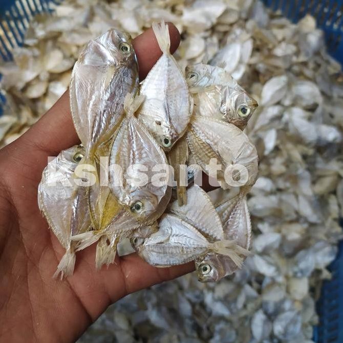 

Ikan Asin Petek Halus-1Kg