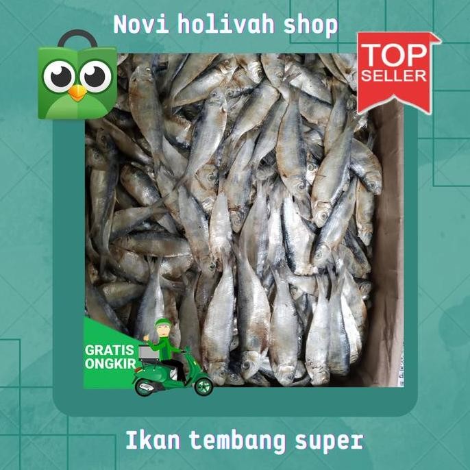 

Promo Ikan Asin Tembang Fresh; 250 Gram