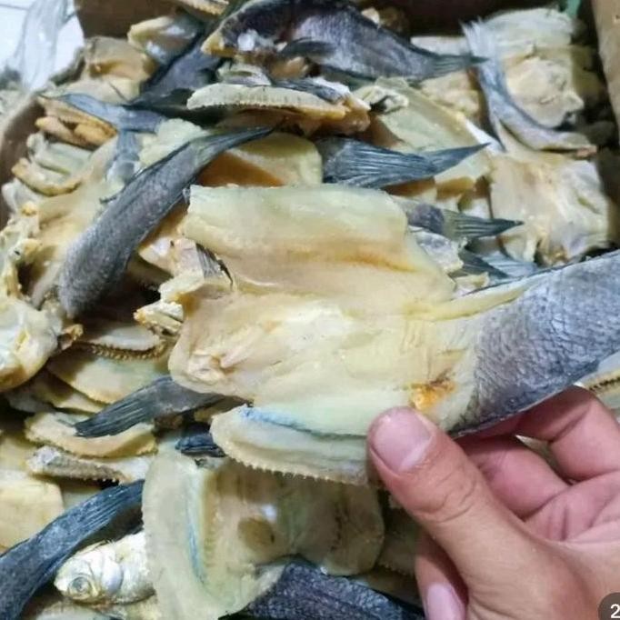 

Ikan Asin Gabus Kering Khas Medan 1 kg murah